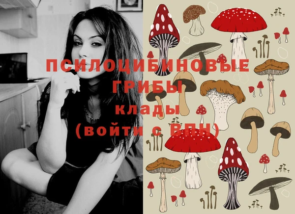 метадон Абаза