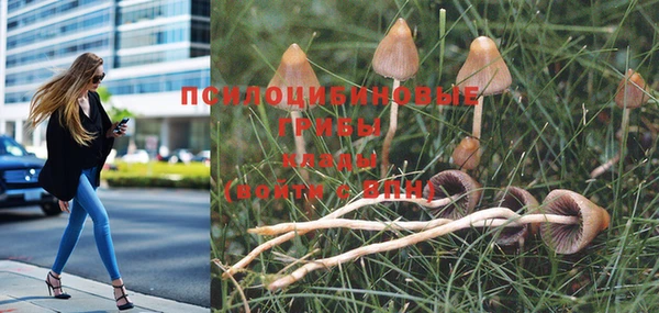 мескалин Абинск
