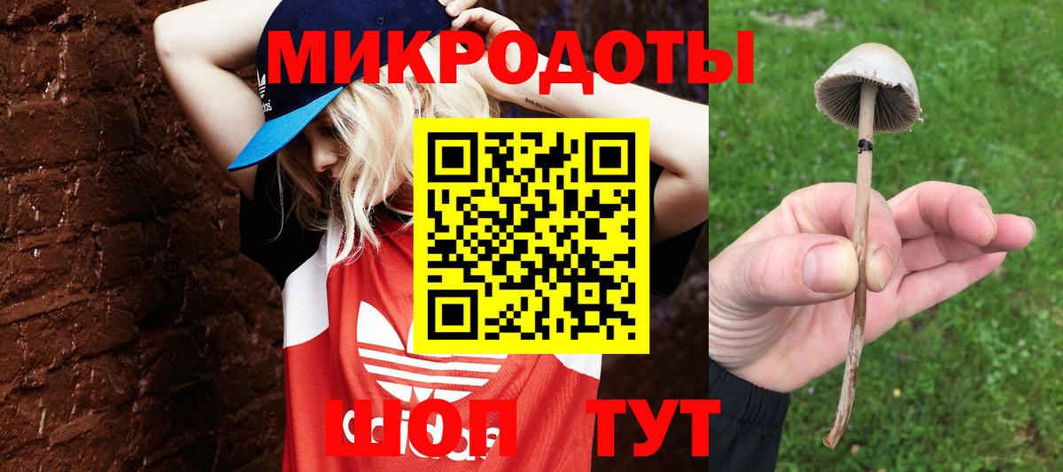 Галлюциногенные грибы ЛСД Ржев