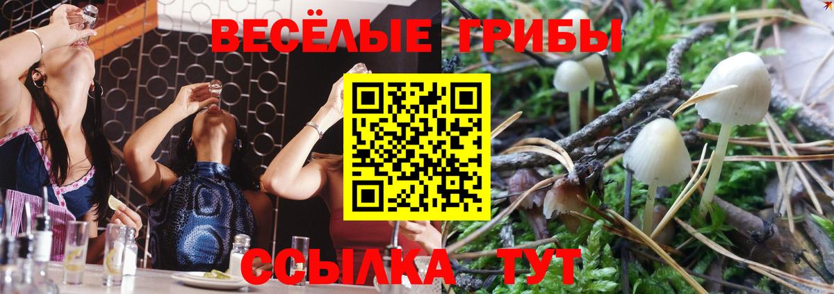 Ржев  Псилоцибиновые грибы Magic Shrooms  Вход с VPN  купить закладку  Галлюциногенные грибы Cubensis 