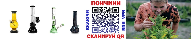 Шишки марихуана марихуана  где найти   KRAKEN ссылка  Ржев 